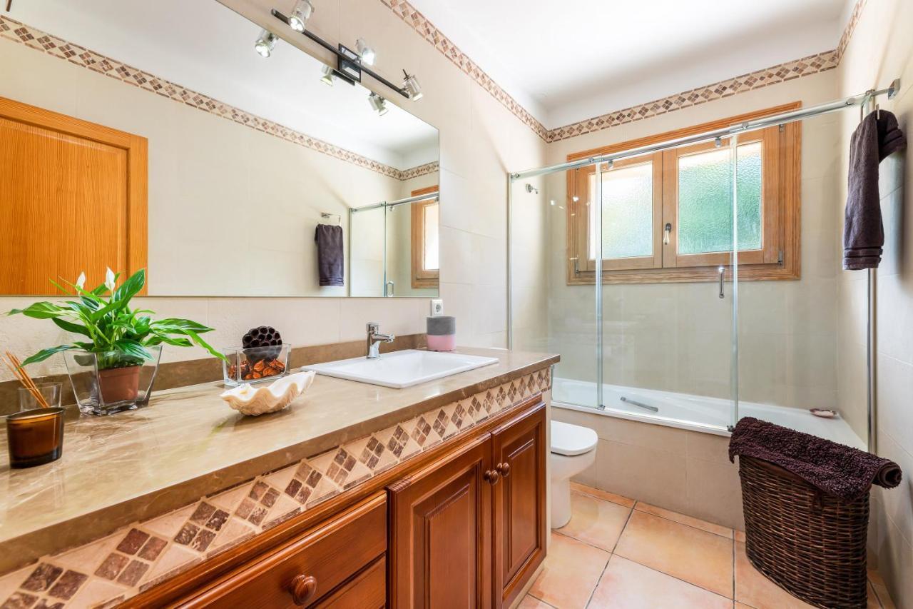 Mirlo Villa Marratxí