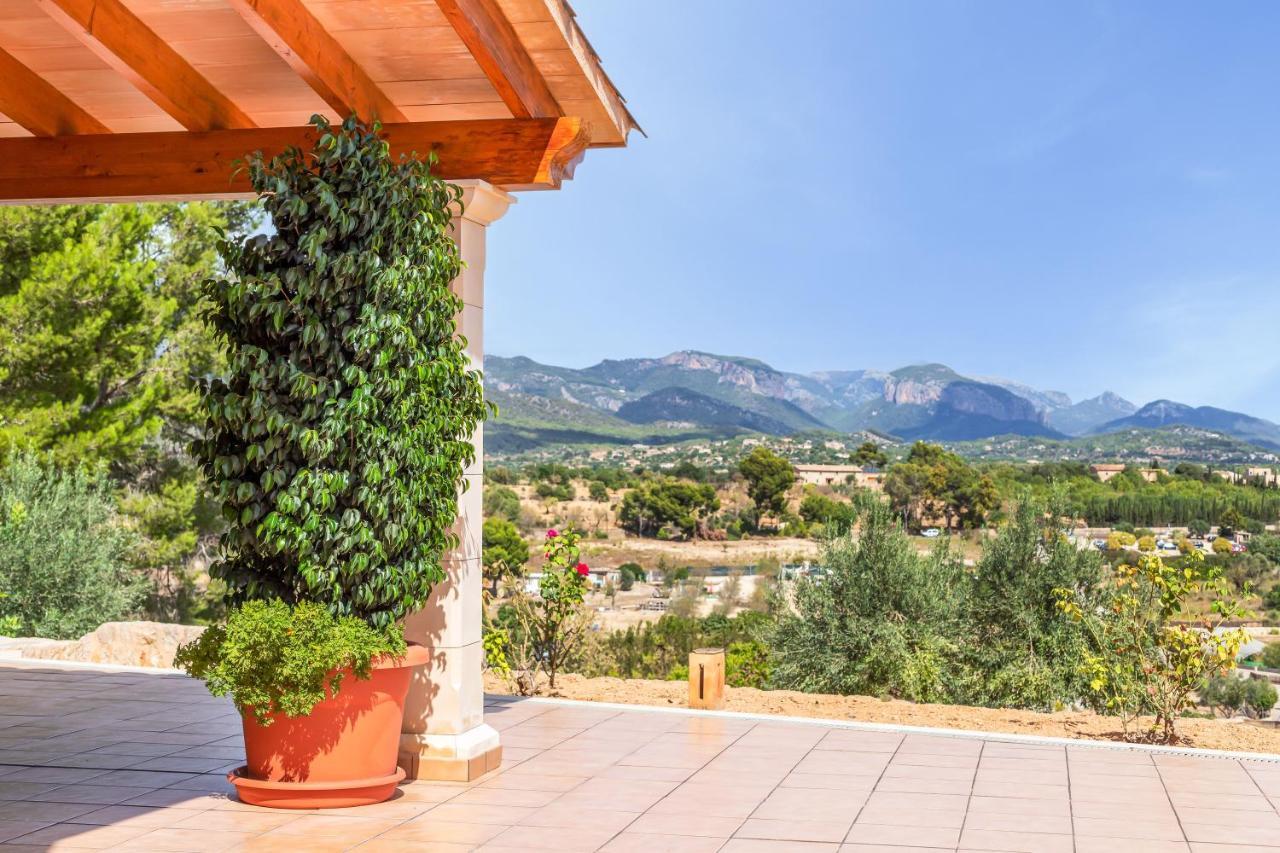 Mirlo Villa Marratxí